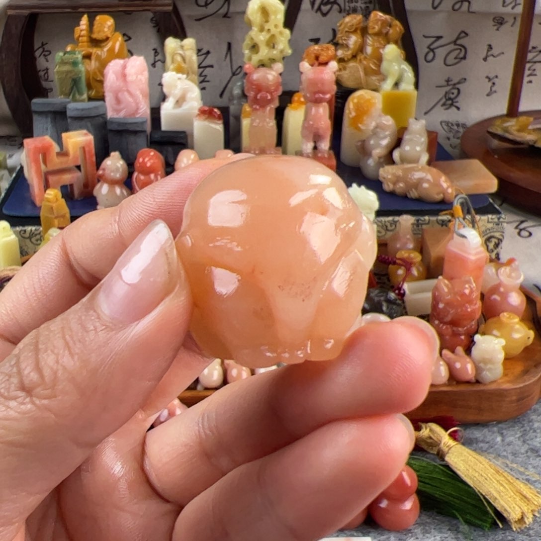 老挝石小*豆大象y z