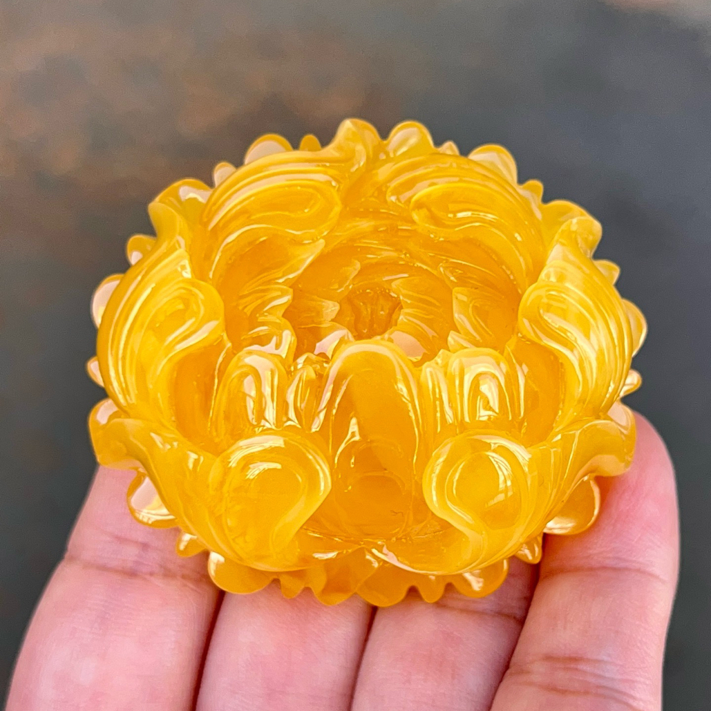 焦皮料鸡油红牡丹花