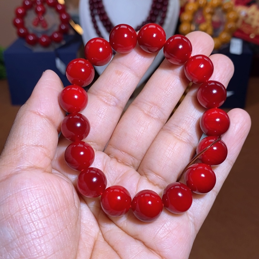 贝壳杉帝王血龙木1.2