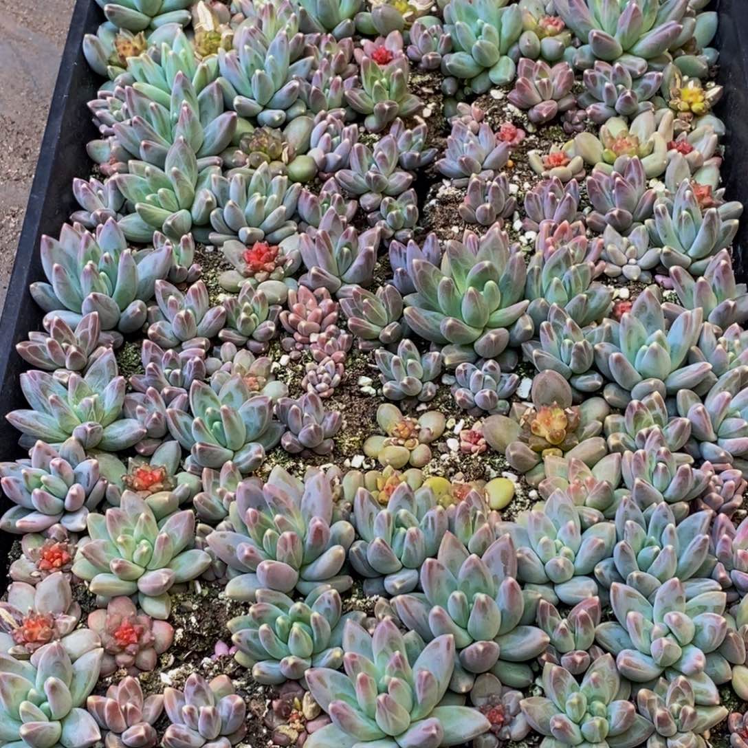 汇**经818的人都是这样吧。