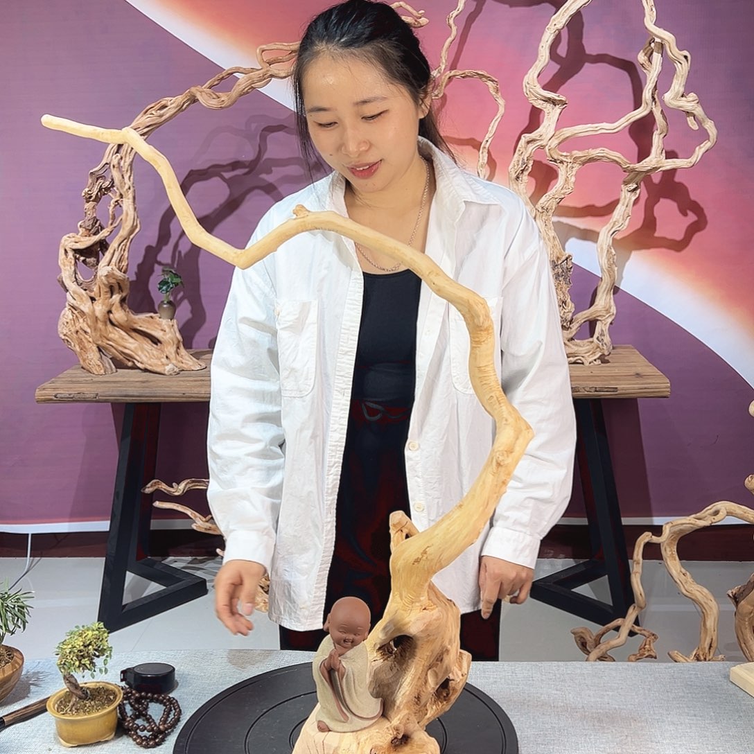 羽****木天热杜鹃根根艺摆件