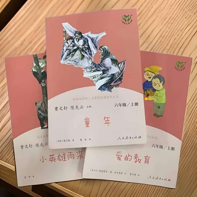 六年级上册人教版快乐读书吧童年爱的教育小英雄雨来必读课外书