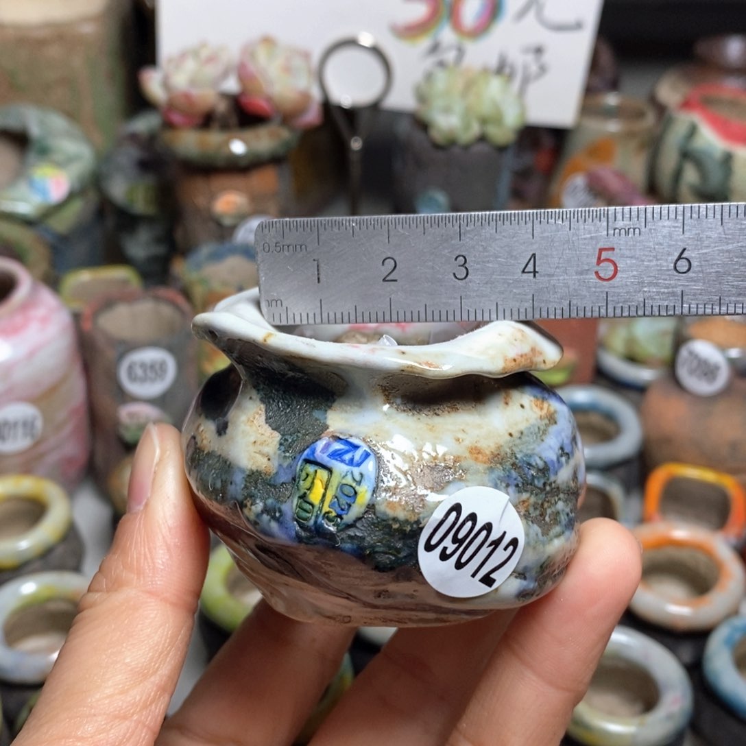 花盆拍3送一个小礼物