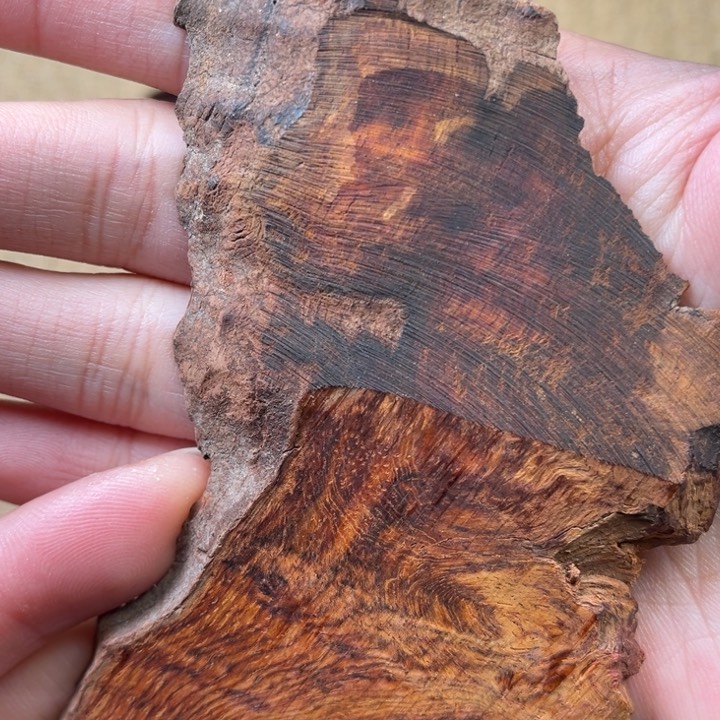 黄花梨/降香黄檀其他