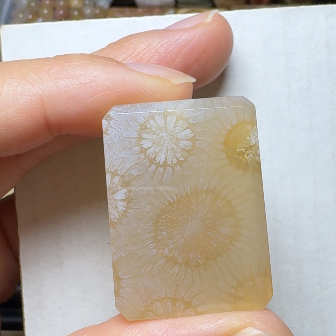 硅化玉带骨骼的糖大花未镶嵌