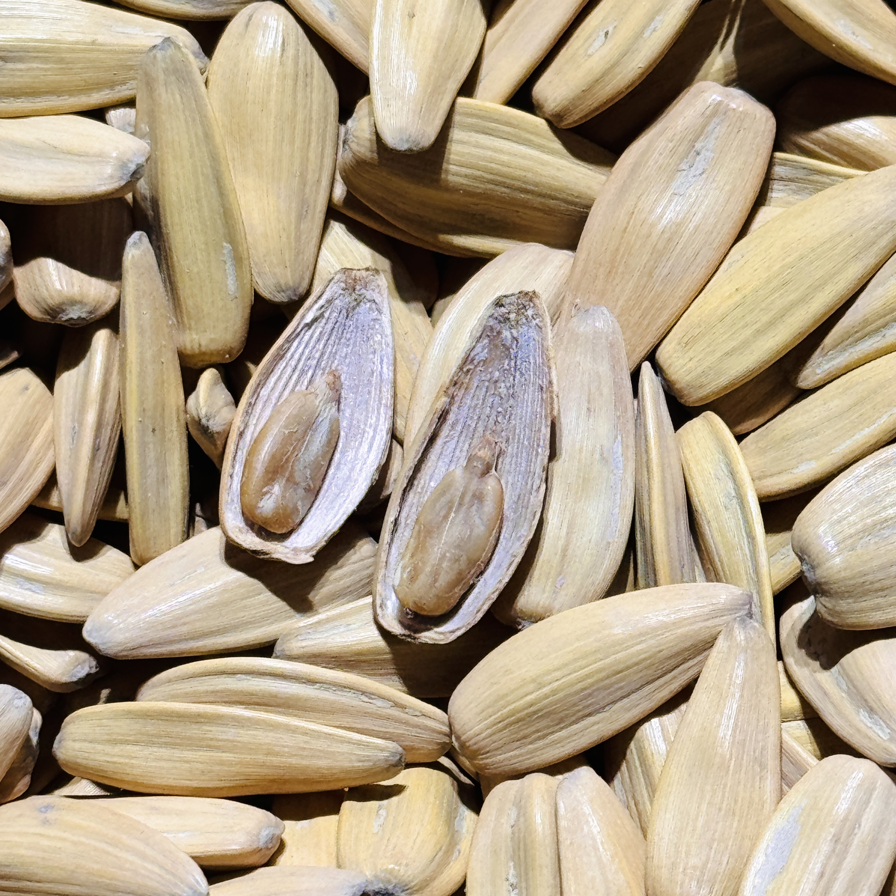 2025新货古法多味打手瓜子五香味葵花籽坚果炒货零食