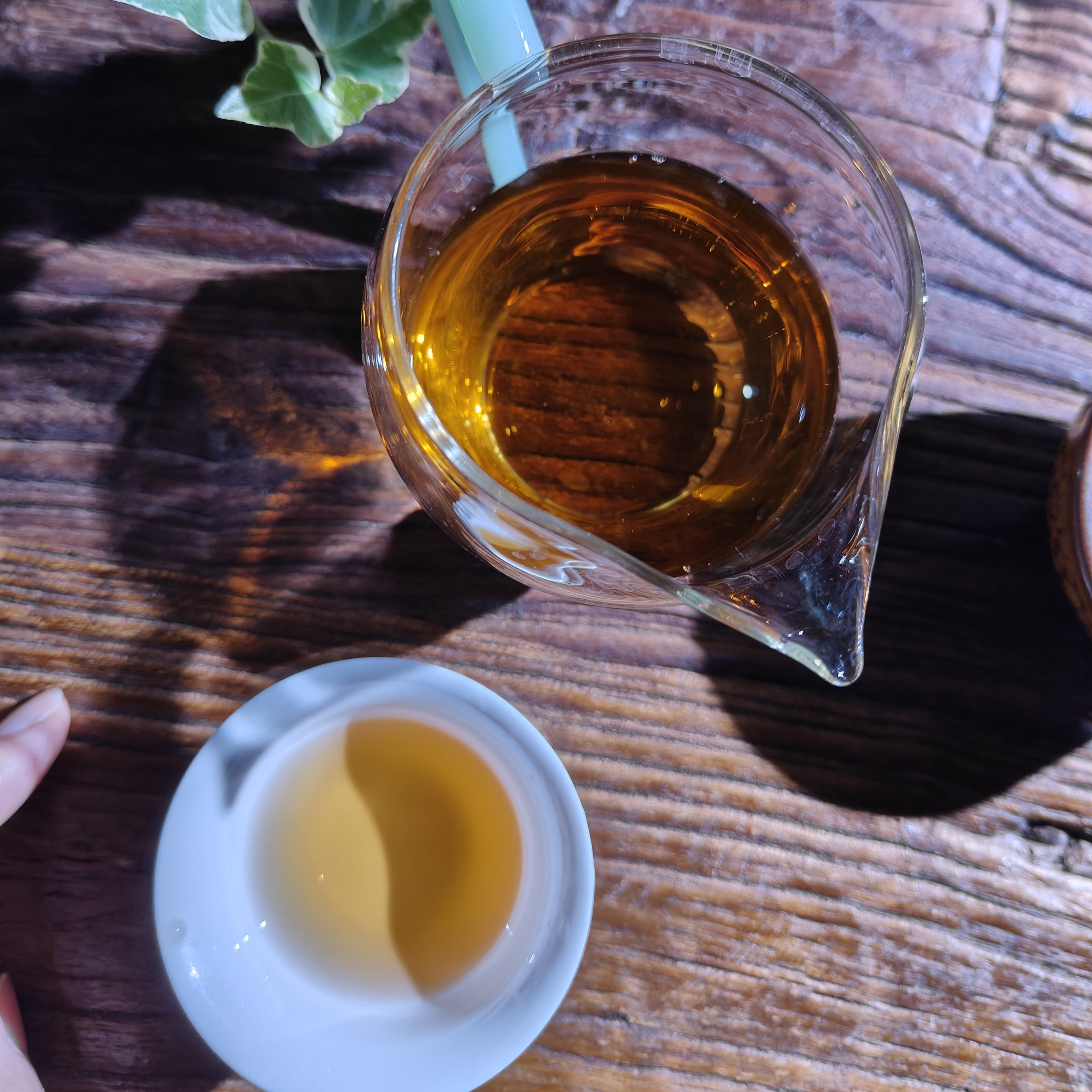 安化黑茶代拍链接   