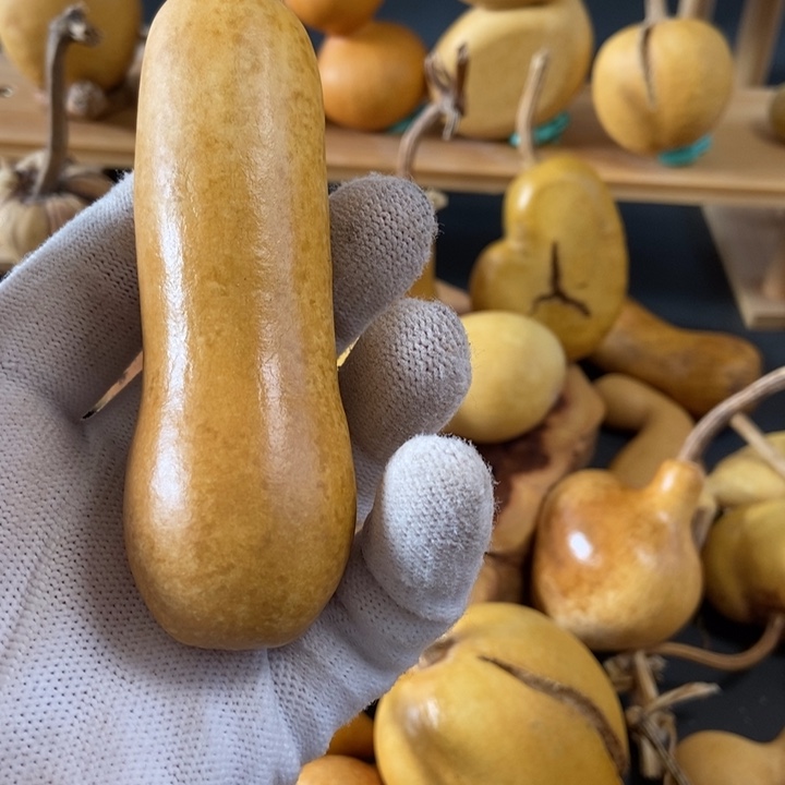 好***连葫芦葫芦好棒