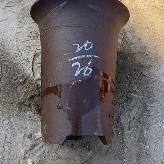 紫砂工艺厂……紫砂工艺厂……