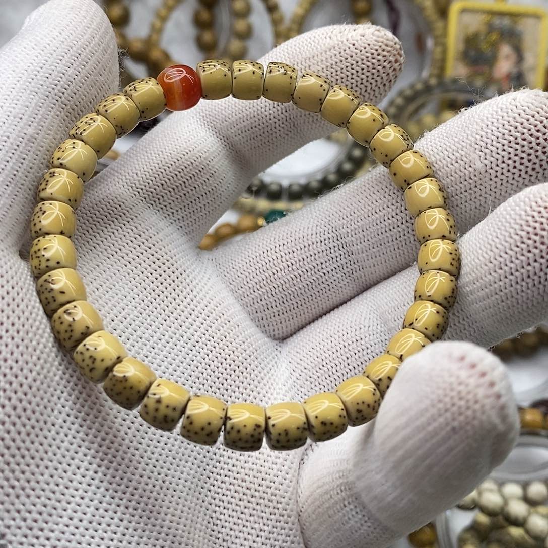 星月菩提手串草*河豚