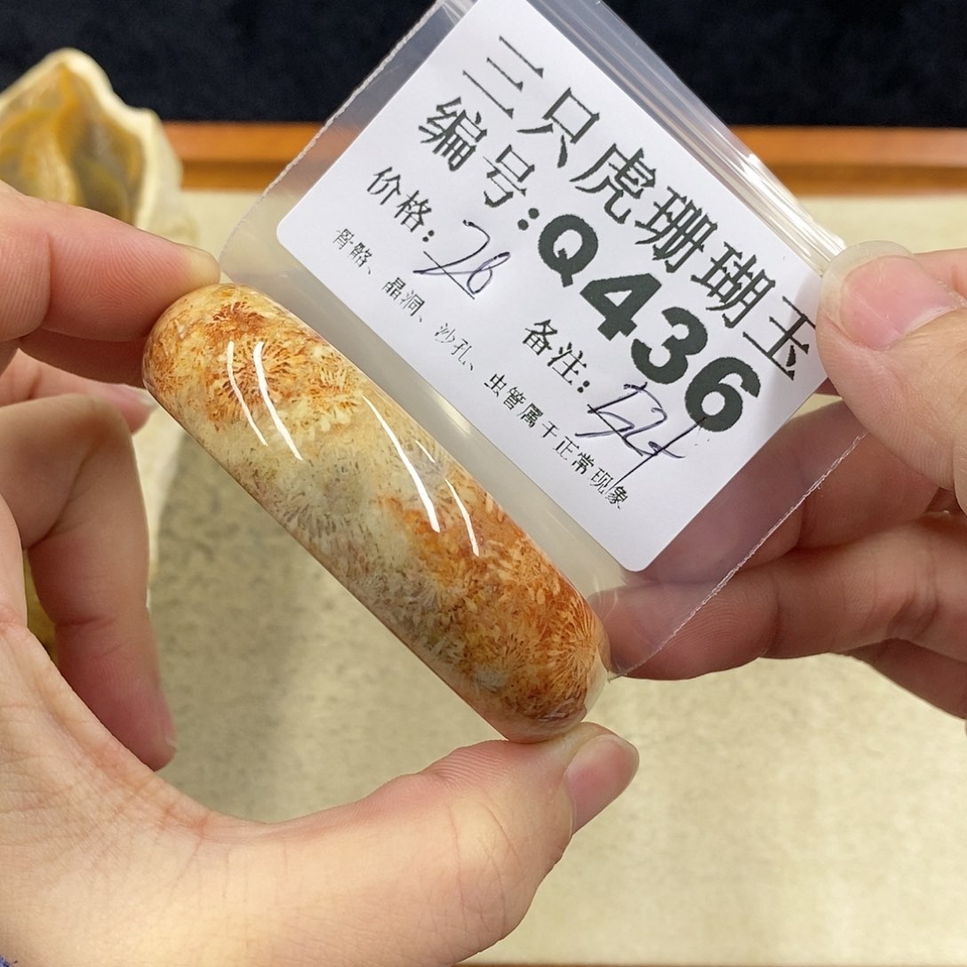 硅化珊瑚（珊瑚玉）1未镶嵌巨*?