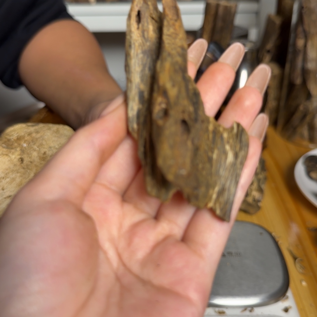 沉香白奇虫漏17克