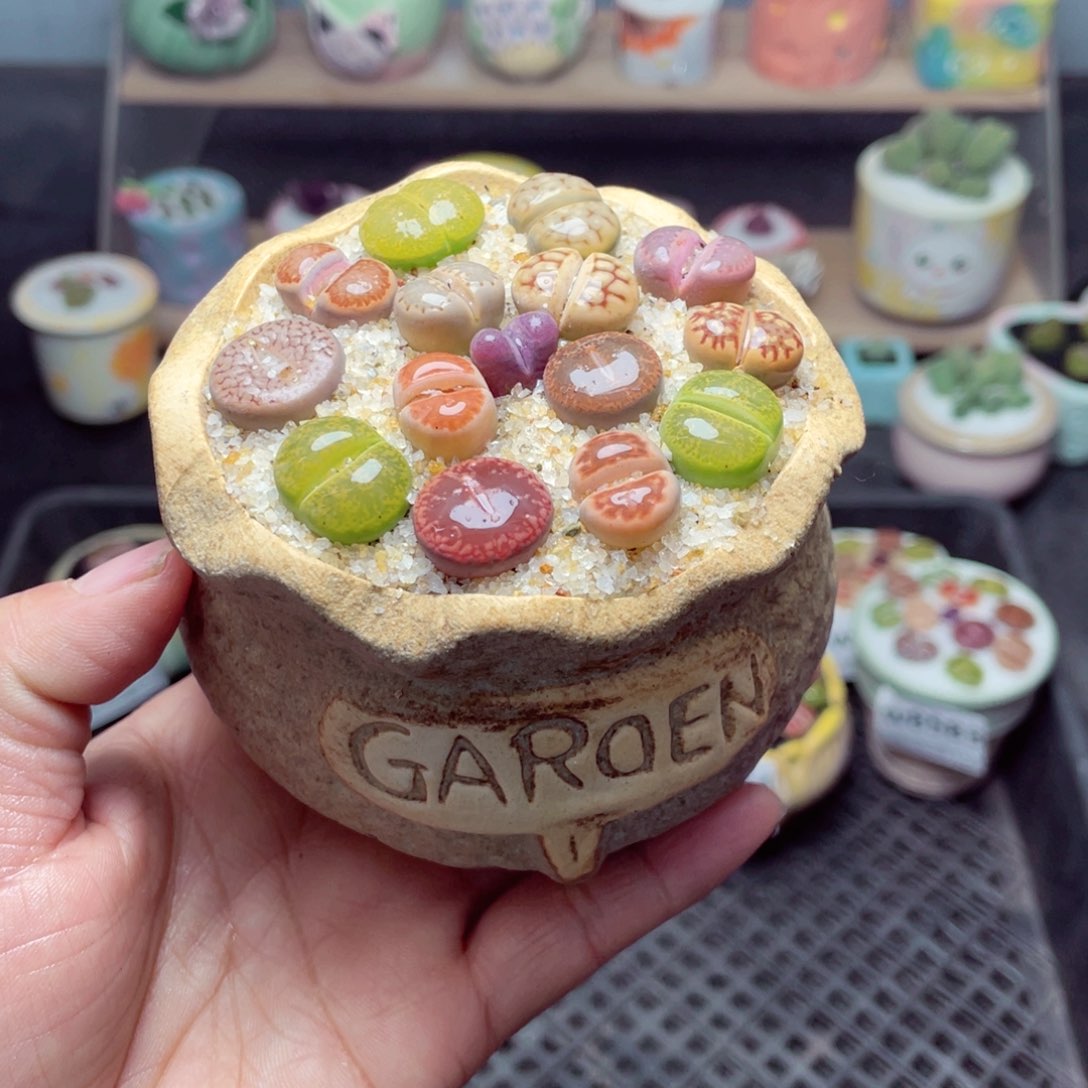 w8586 带盆土发货-零下地区拍保温箱