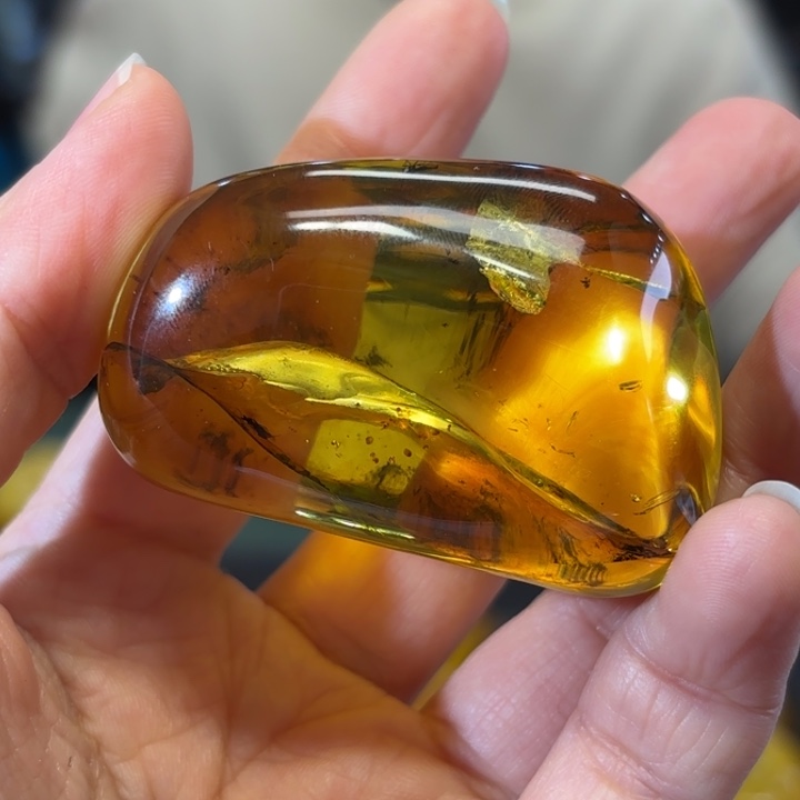 虫珀未镶嵌颈饰虫珀