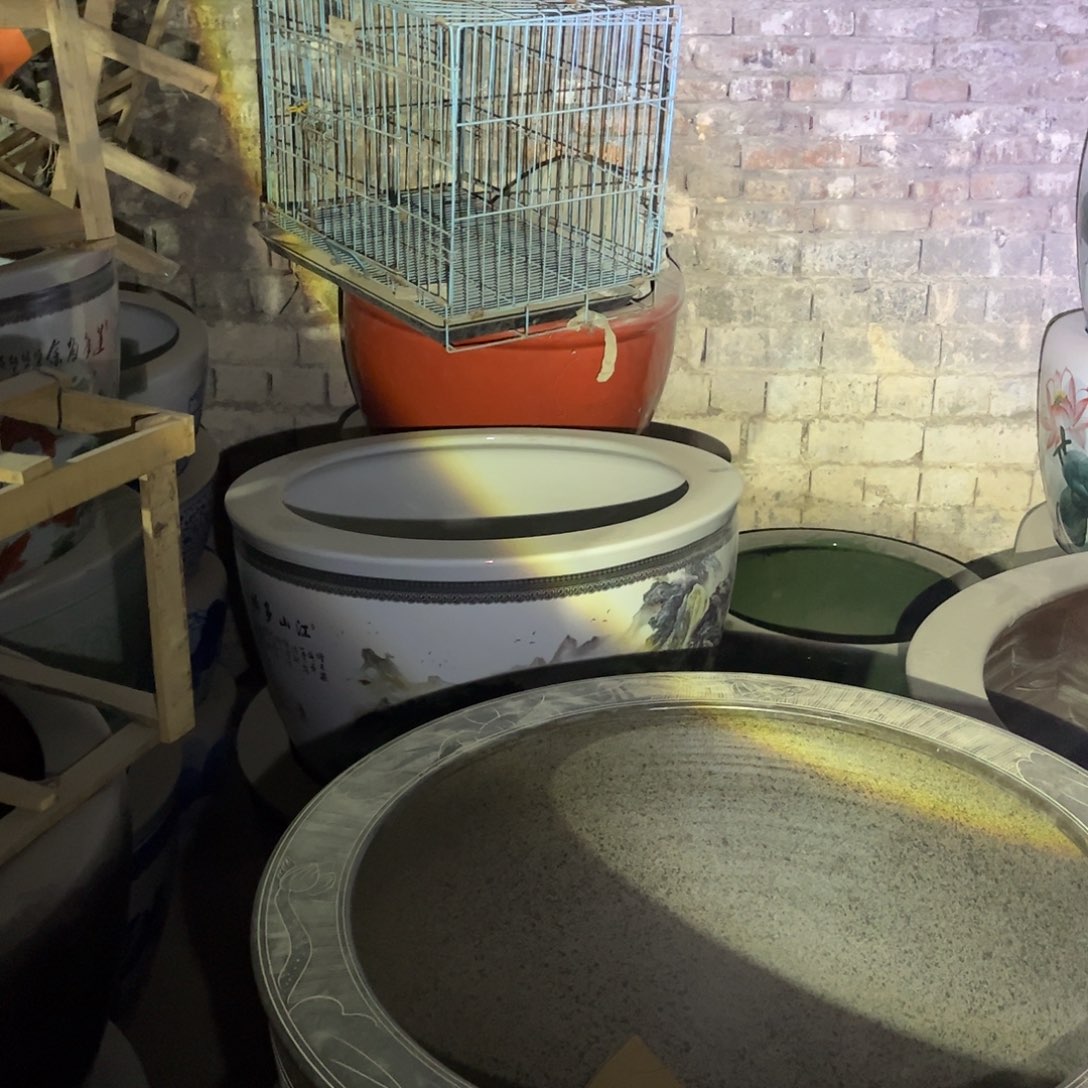 瓷片509.800.88888888