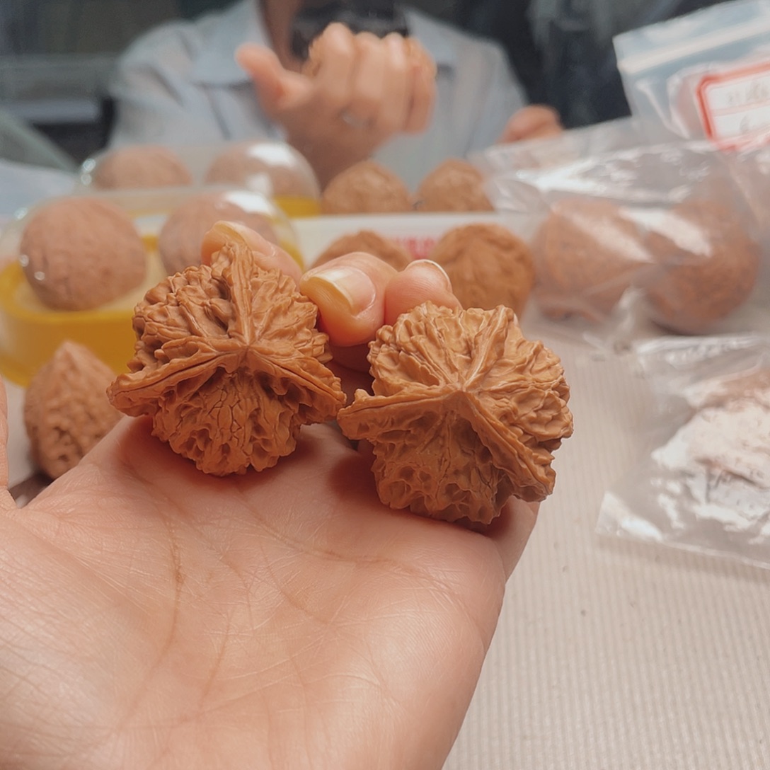 _*楠三棱镜是什么东西哦