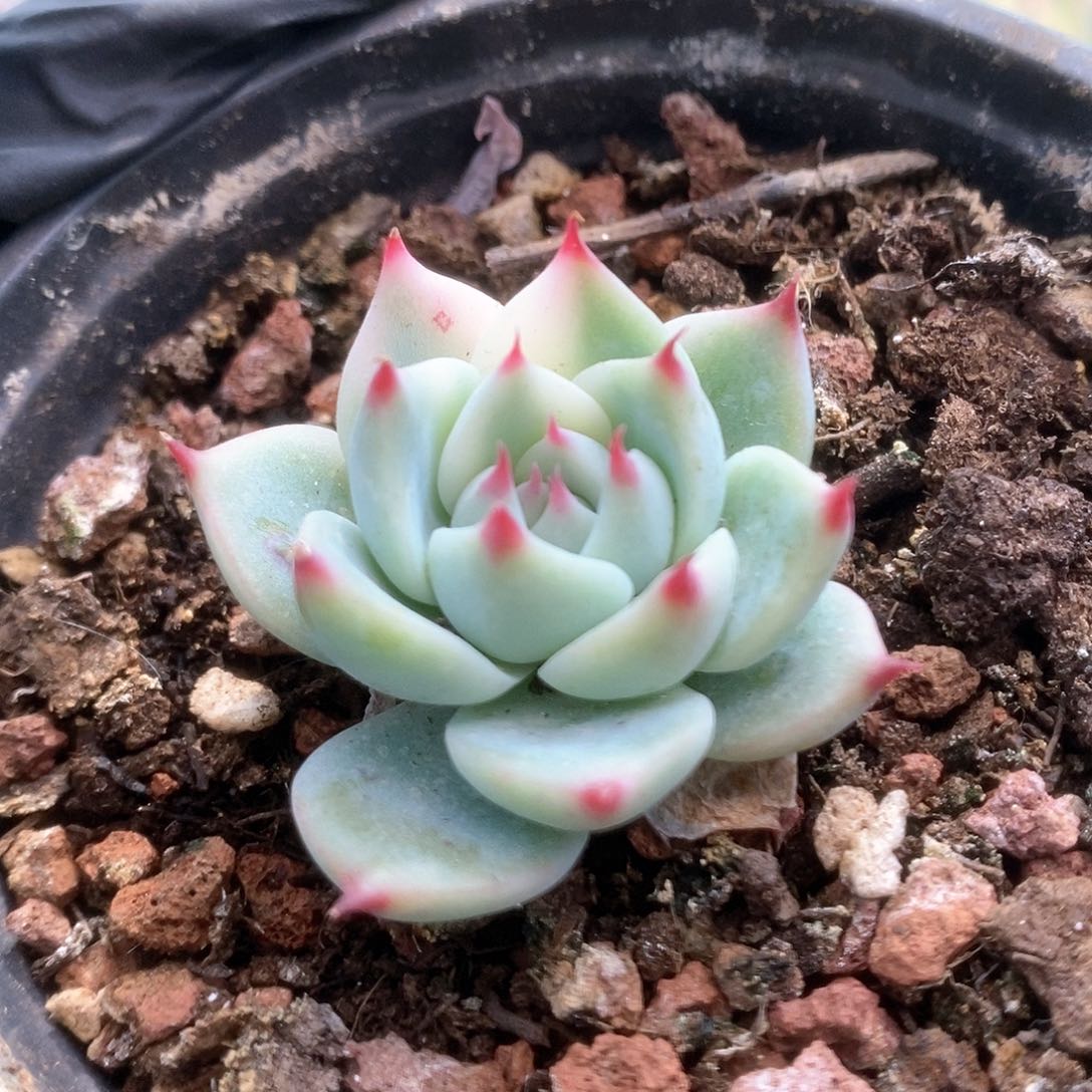 132锦锦锦锦锦锦锦