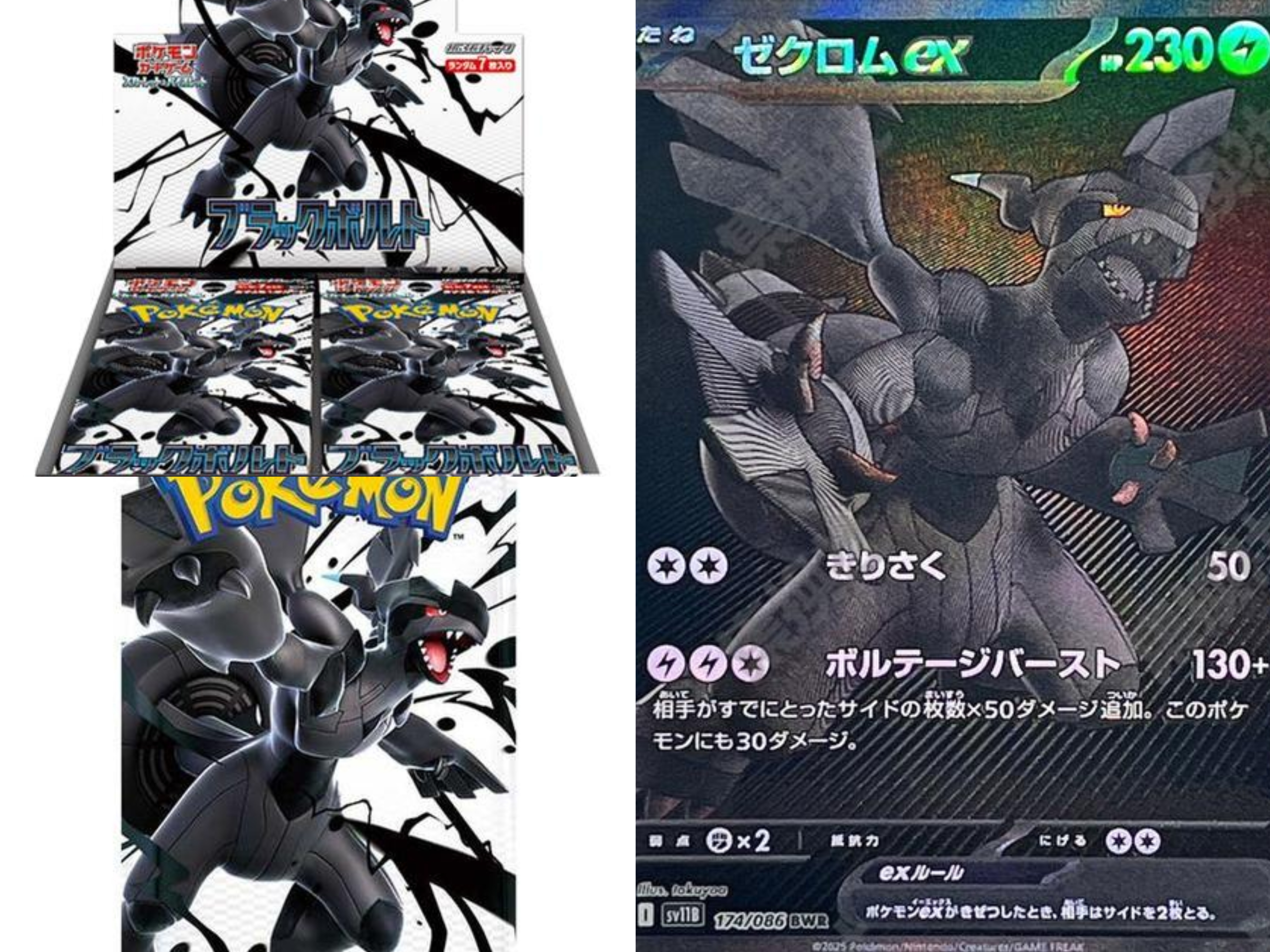 日版sv11bw原箱（顺丰）