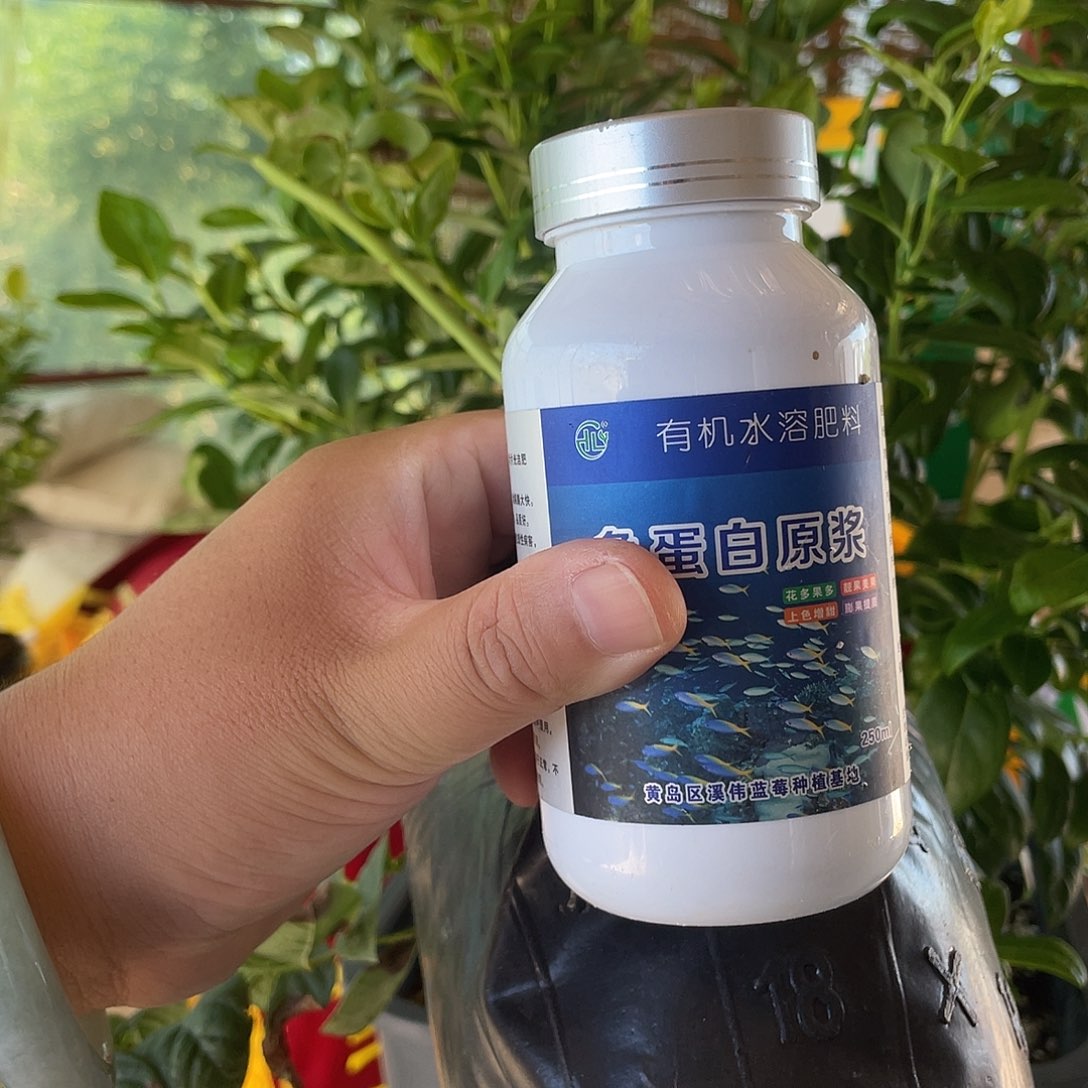 鱼蛋白一瓶 送一棵修剪l11 不售后