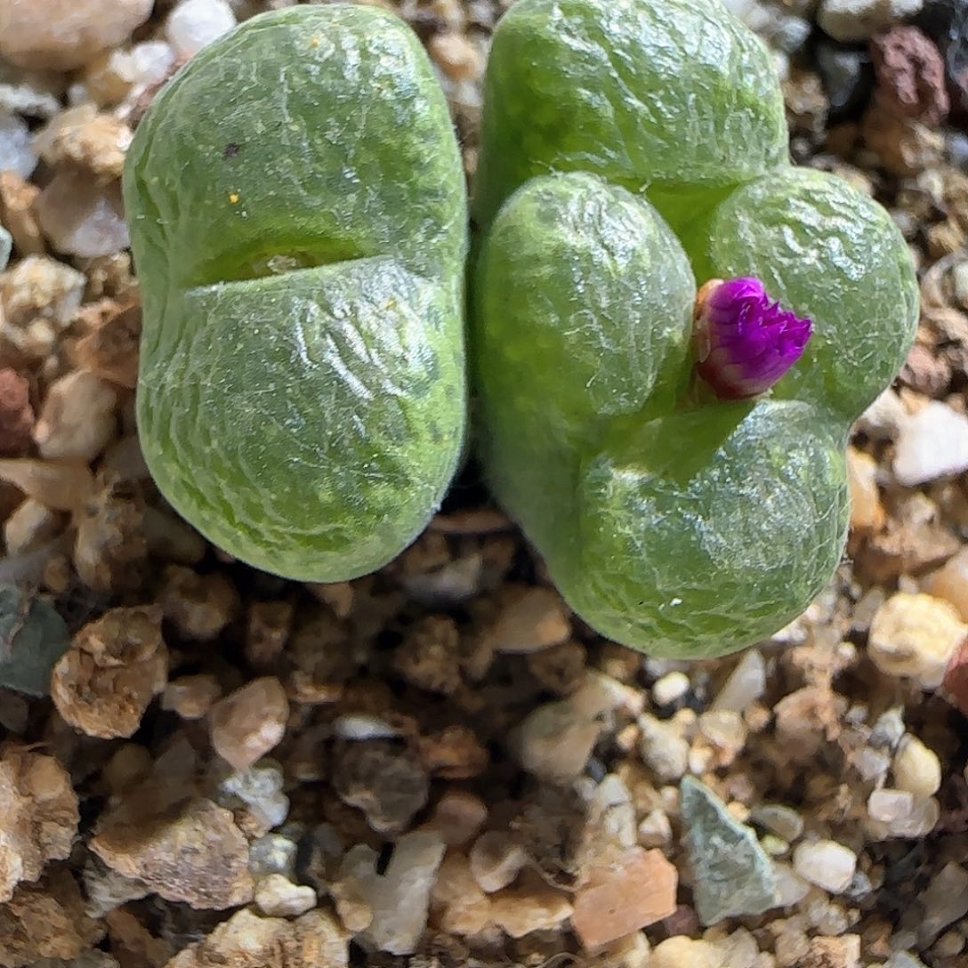 哈哈哈哈哈哈哈50939