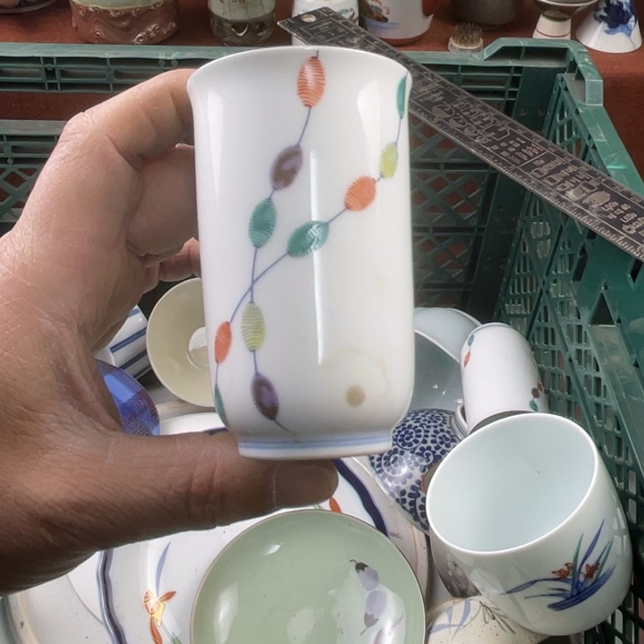 碟开播了开播了开播了