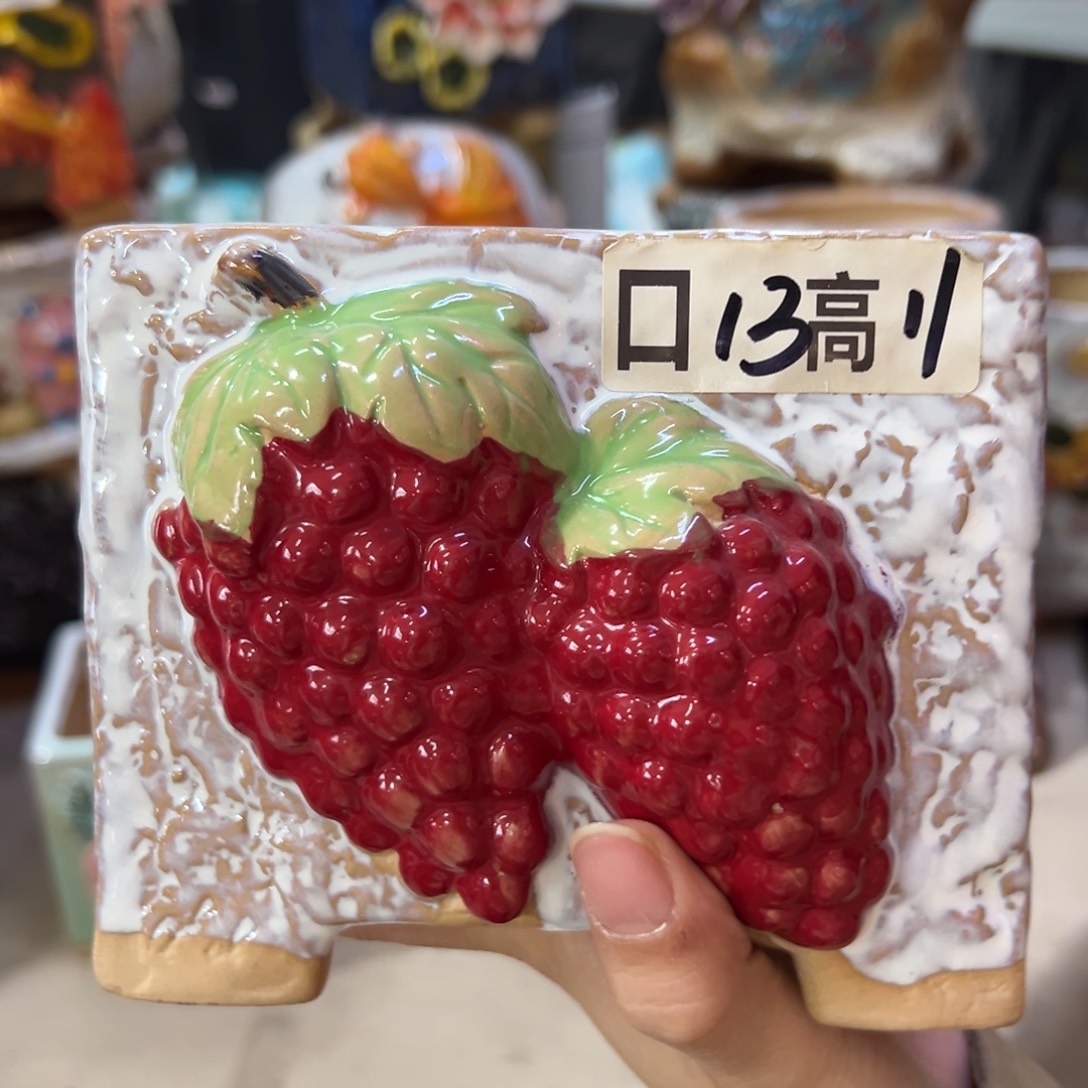 多肉花盆满20发货，爱退款拉黑