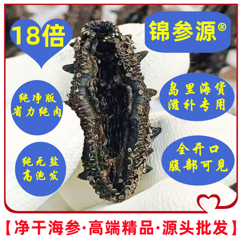 【全开口·纯净版·纯无盐·野款】长岛深海干海参 高端精品源头批发