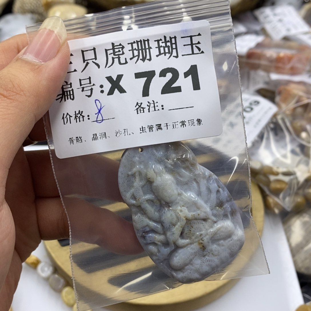 硅化珊瑚（珊瑚玉）1未镶嵌巨*?