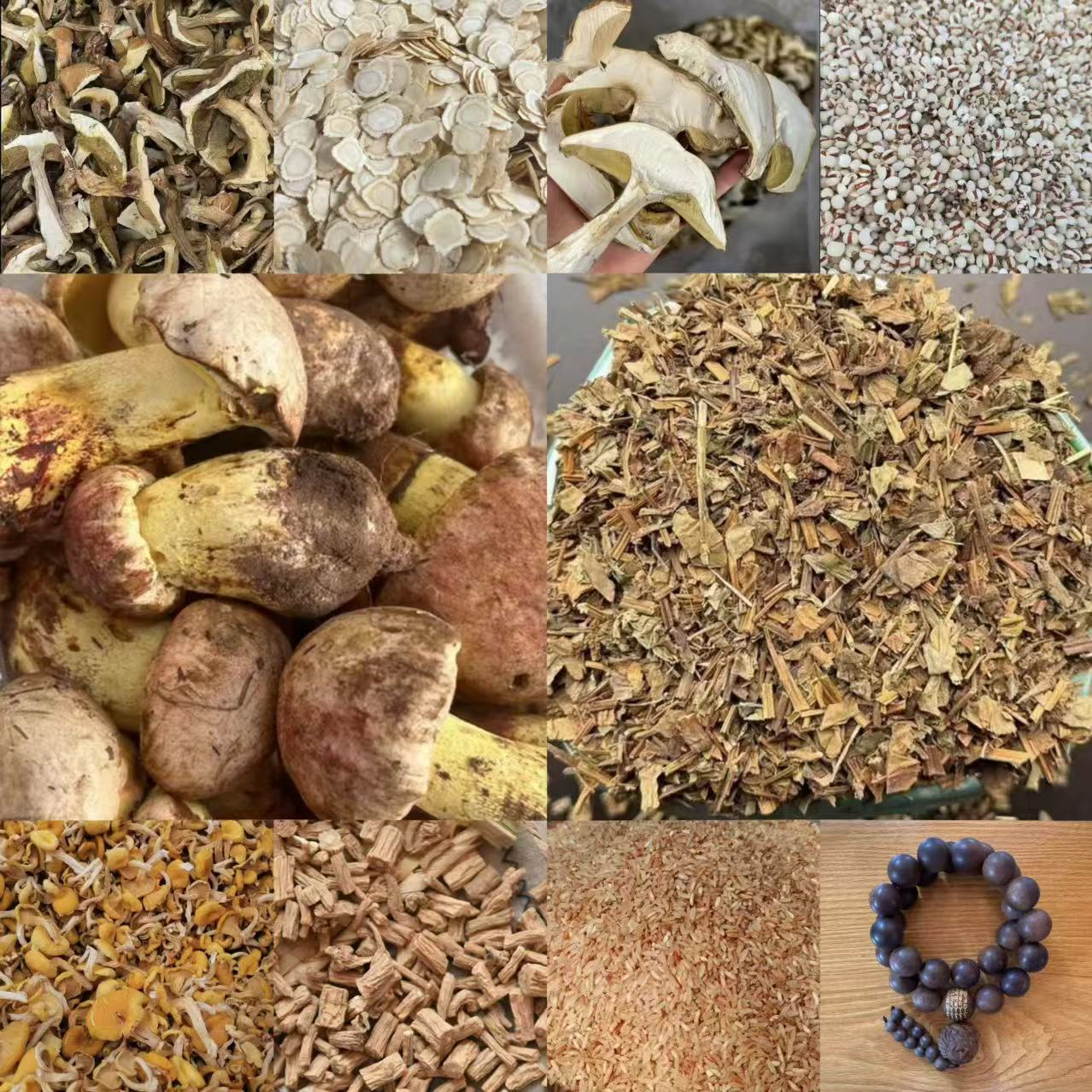 ADS104土特产菌/多样性发货