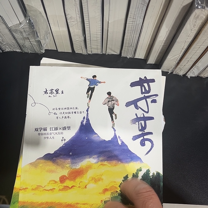 某某全新全套三本带周边未删减
