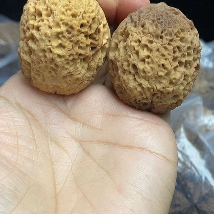 木质类云南铁核桃+29