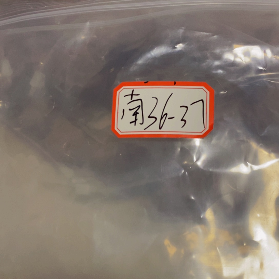 吊坠文玩核桃南瓜36-37练手