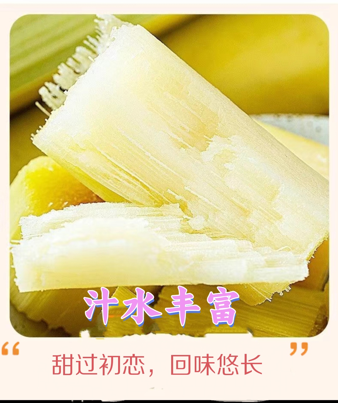 云南高山黄金脆皮甘蔗清甜多汁孕妇新鲜水果原生态现砍现发