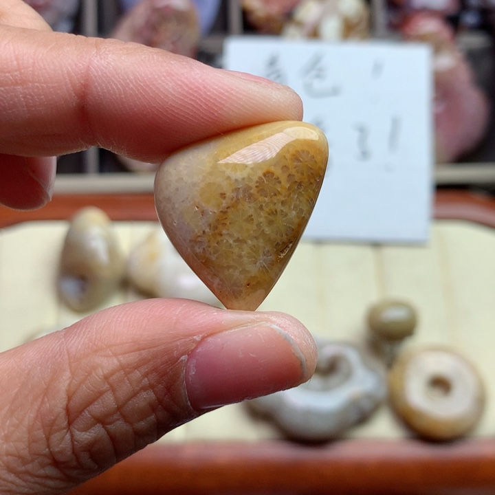 硅化珊瑚（珊瑚玉）颈饰未镶嵌