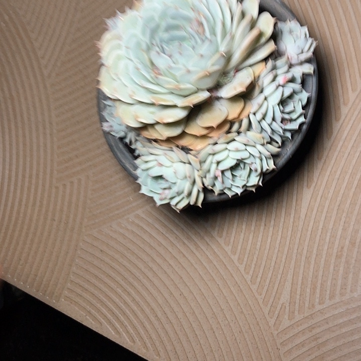 我**你21//////////////////