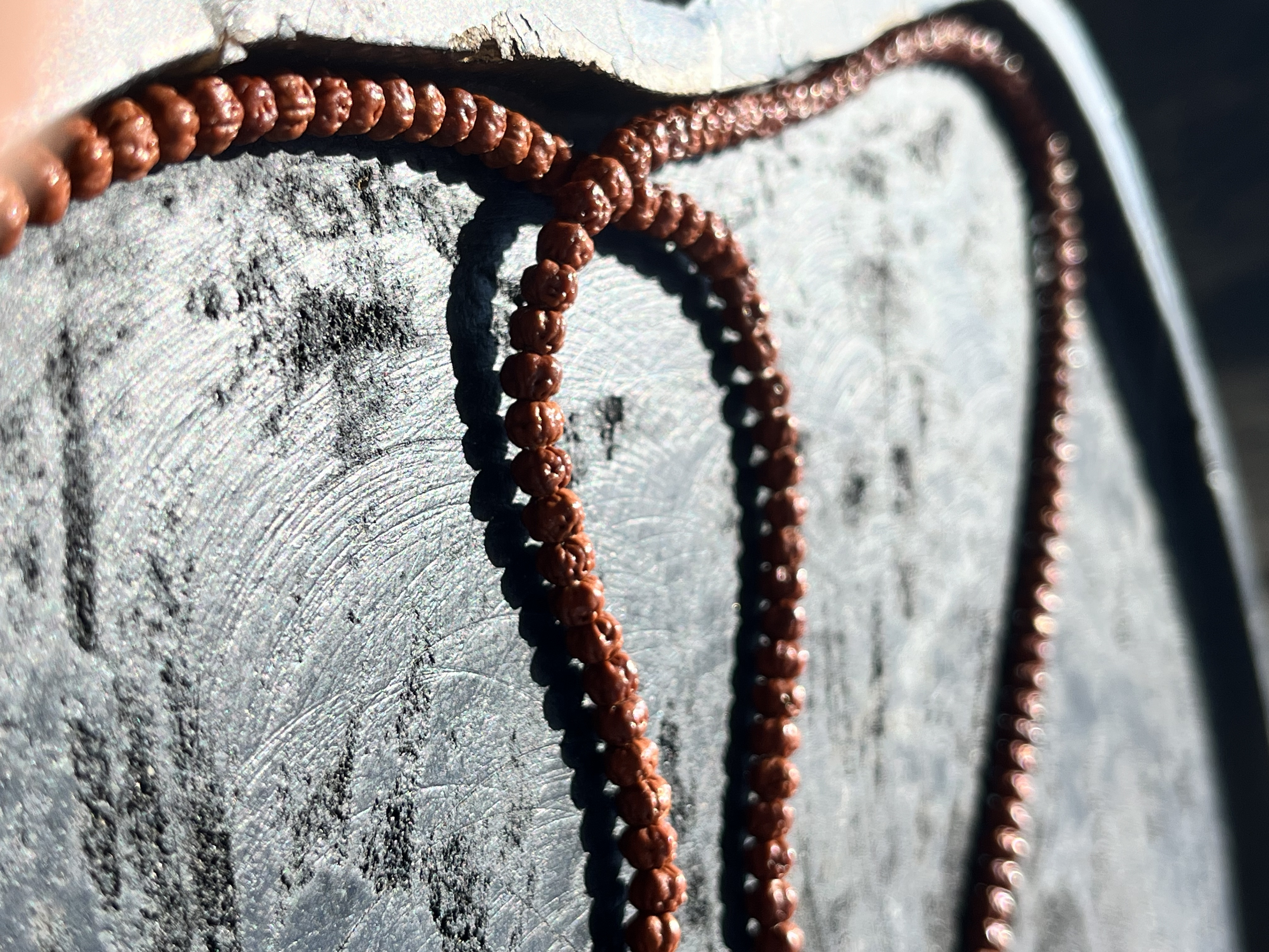 【佛手小金刚】原装五爪订拍链接