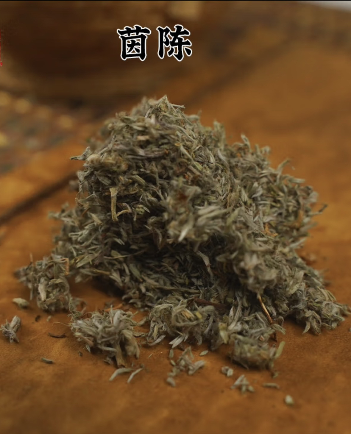 深山纯茵新鲜酒茶棉蒿茶三月采摘 茵陈