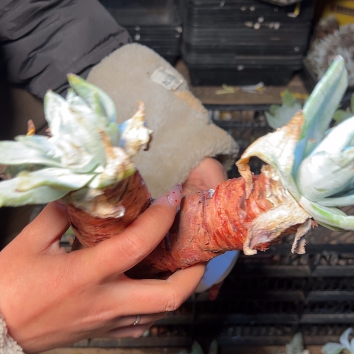 035哈哈哈哈哈哈哈哈