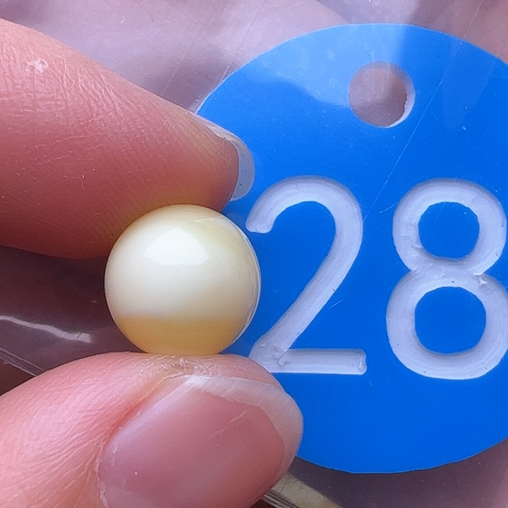 蜜蜡裸石未镶嵌10m m