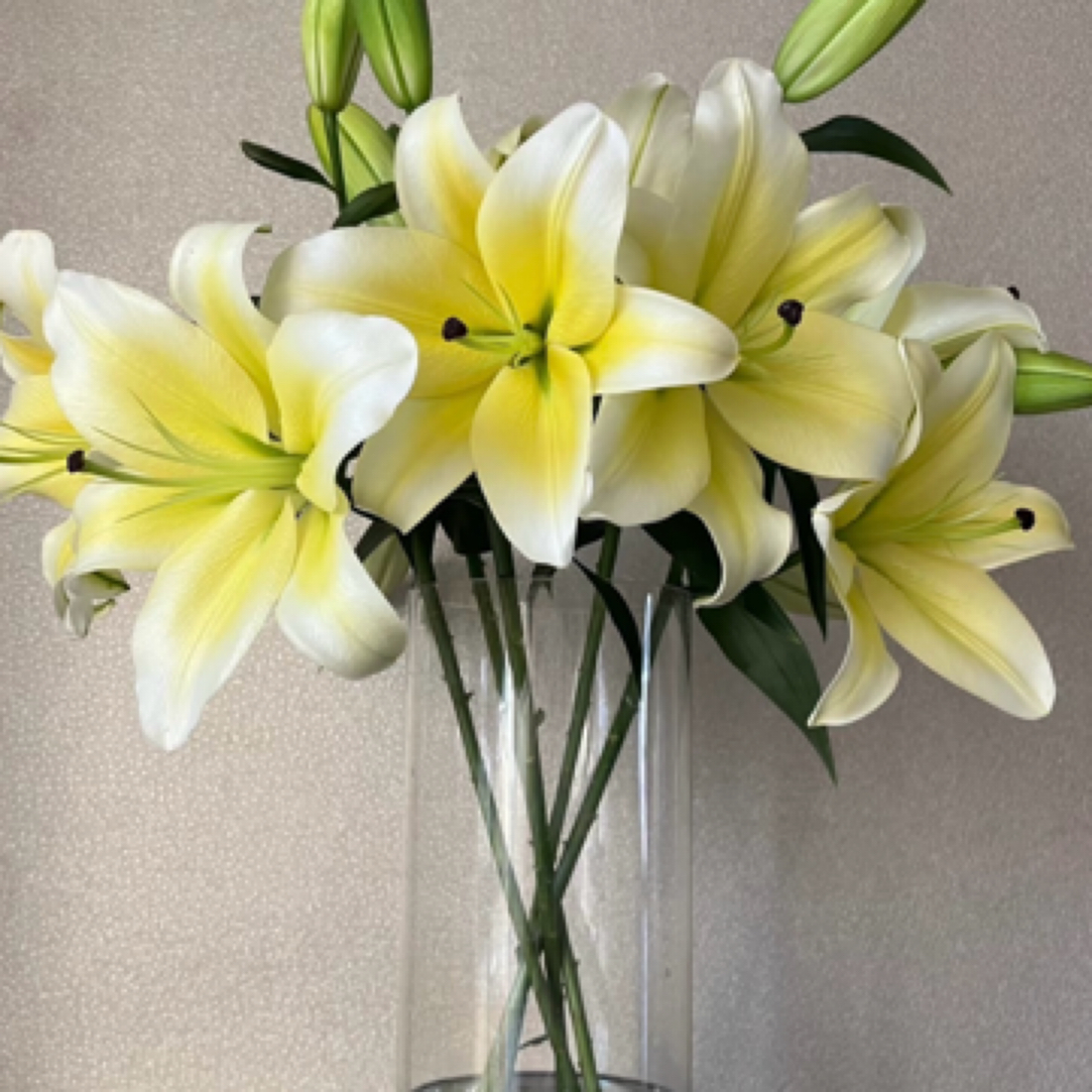 【黄天霸百合】6朵黄天霸百合鲜花家居花插瓶今天下单明天到