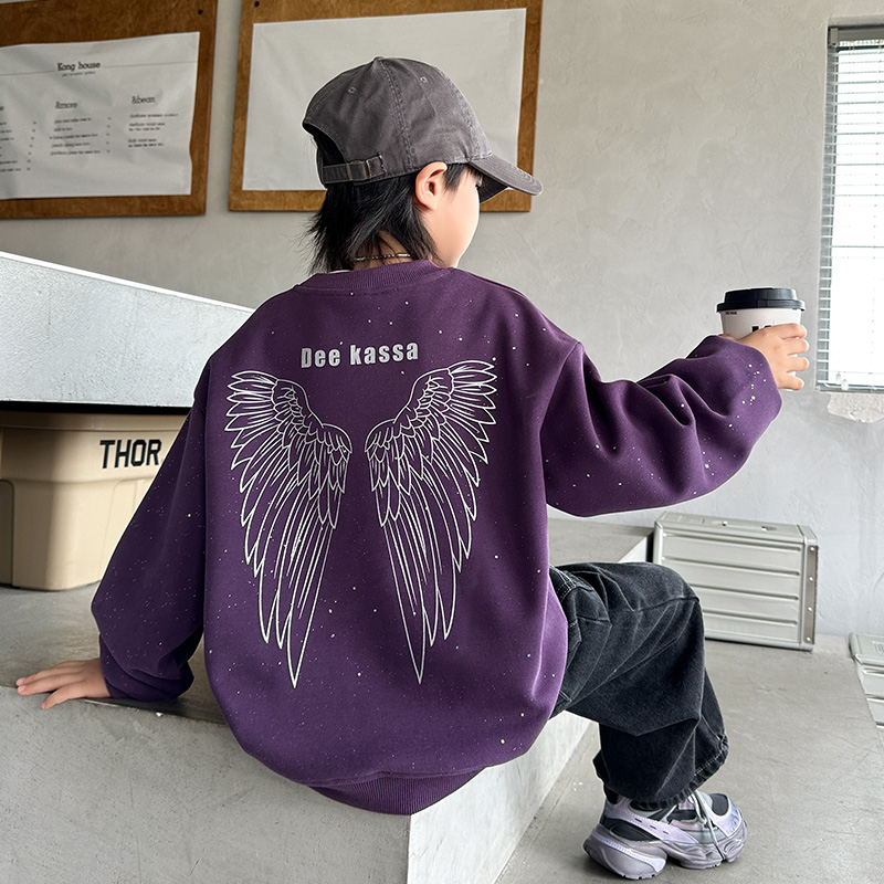 男童卫衣春秋款2025新款痞帅儿童宽松上衣WY253106