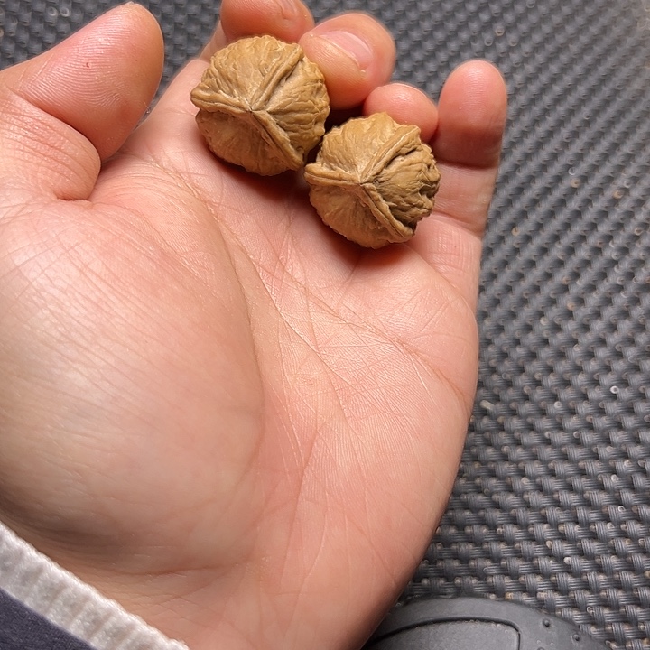 文玩核桃吊坠三棱