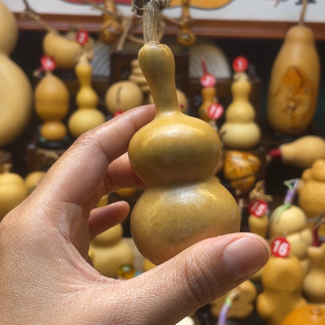 好**葫芦等经济作物和各种植物为主