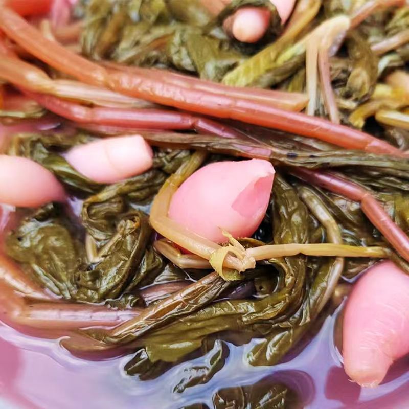 贵州地道酸萝卜菜家乡特产榕江萝卜菜开胃菜