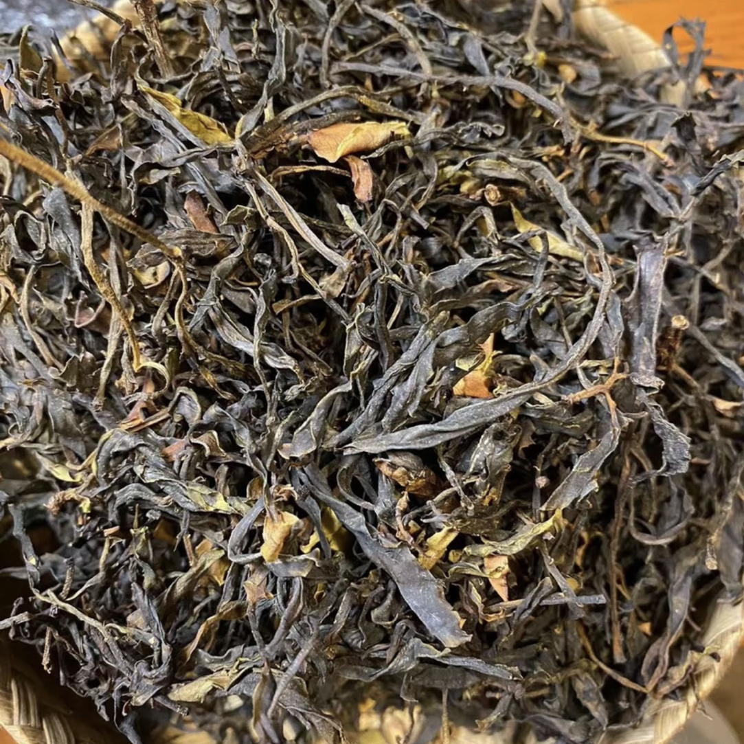 【细叶皇后小叶原生种】2023年野生细叶皇后普洱茶生茶