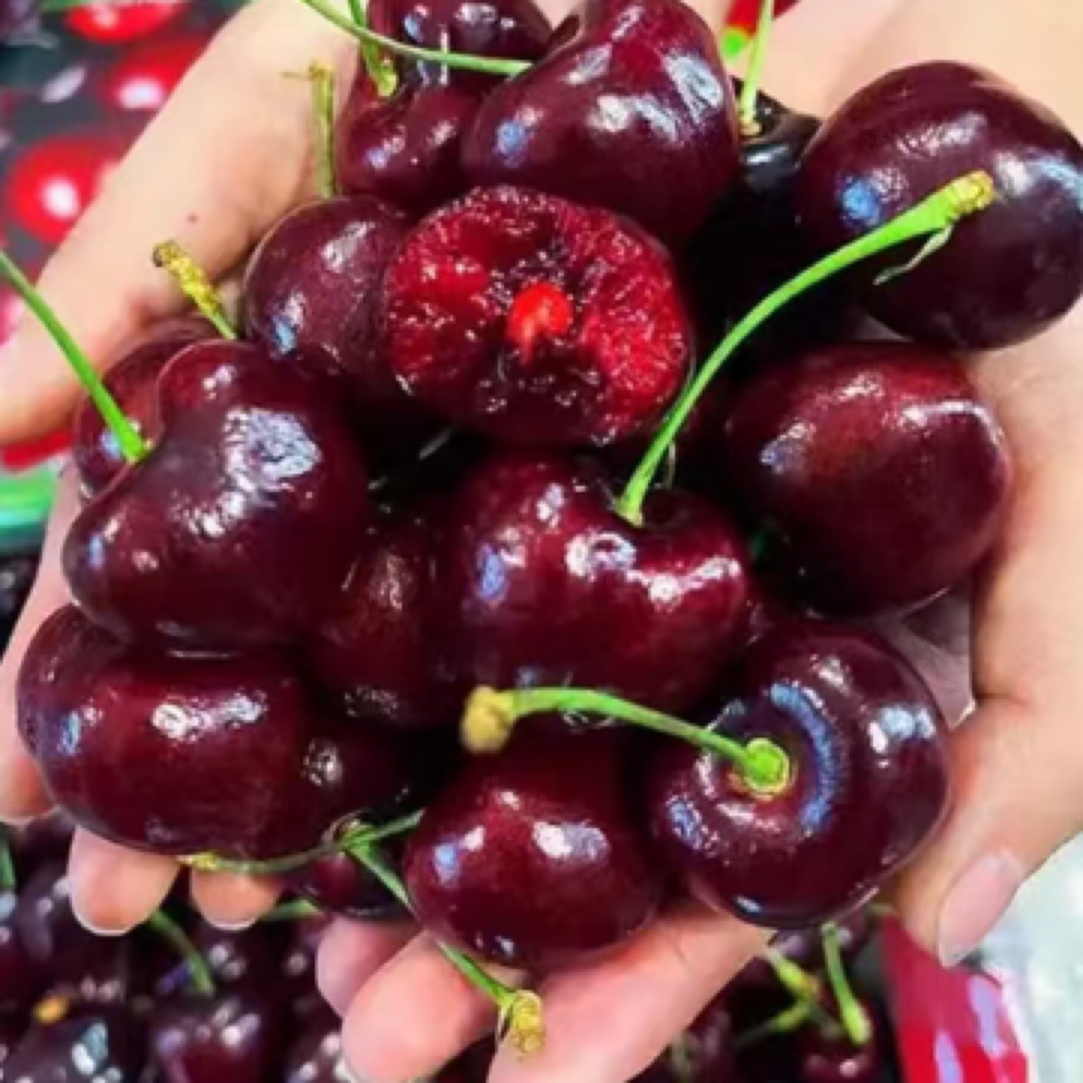 智利车厘子 J新鲜脆甜多汁空运5斤内附果径卡