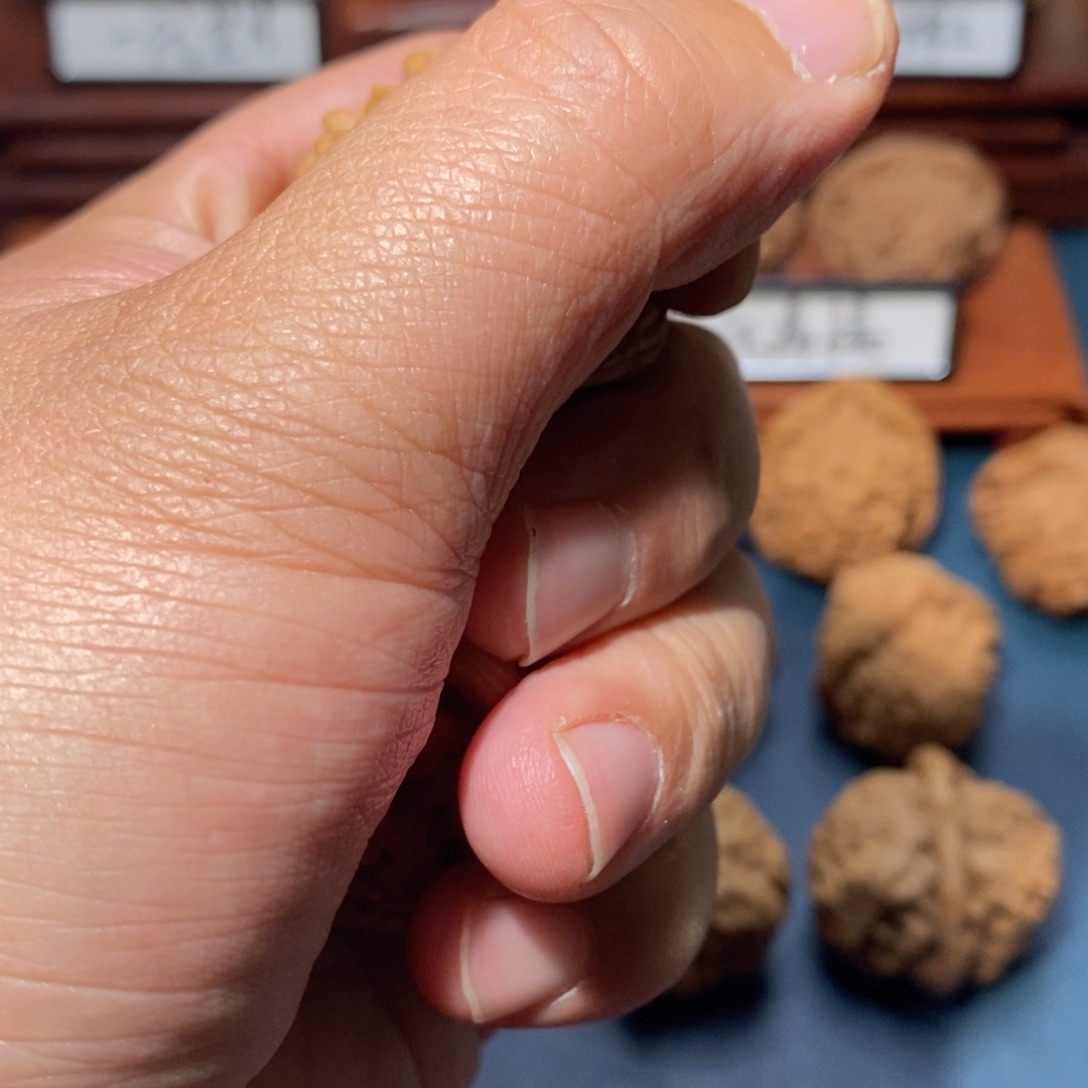 文玩核桃把件赵*核桃