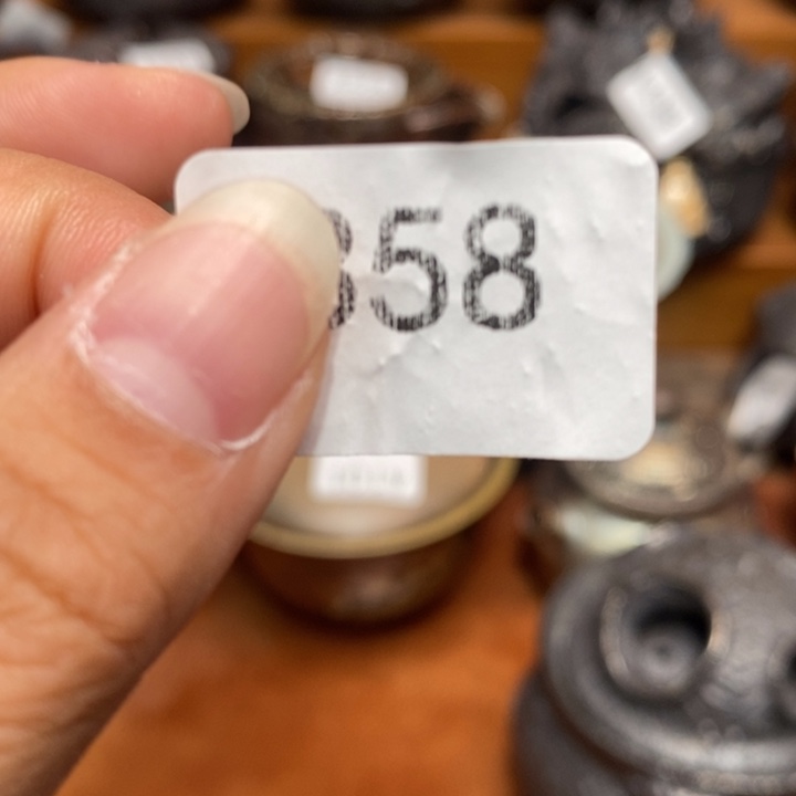 蛇***.其他柴烧茶器福利