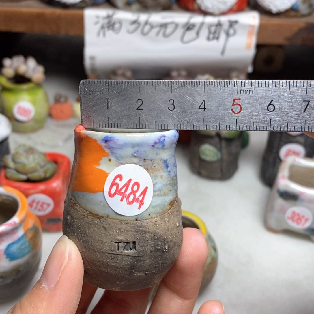 拍5送一个小礼物