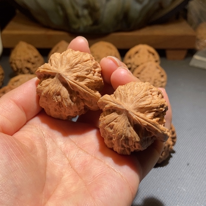文玩核桃把件野狼